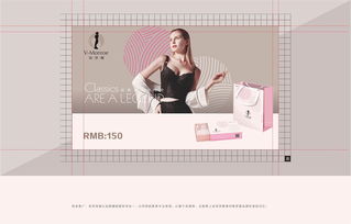 aimer內(nèi)衣海外營銷策劃推廣方案