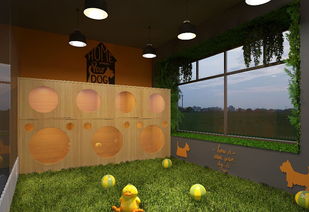 寵物店的市場(chǎng)策劃方案