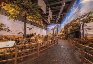 書院展覽館策劃方案