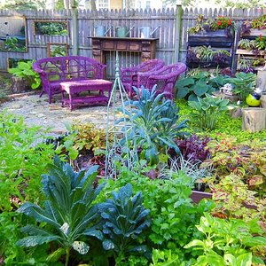 策劃每周打理菜園方案