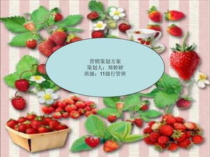 草莓銷售營(yíng)銷策劃方案