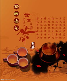 云霧茶公關(guān)策劃方案