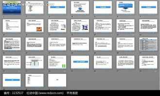 百麗營(yíng)銷策劃方案