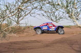 環(huán)塔拉力賽策劃方案