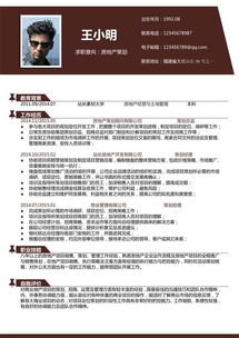 房地產(chǎn)方案策劃個(gè)人簡歷模板