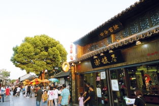 打造百老字號街區(qū)策劃方案