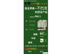 美發(fā)項(xiàng)目活動策劃方案