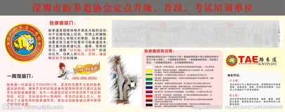 跆拳道活動(dòng)策劃方案