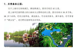 清明節(jié)景區(qū)策劃方案