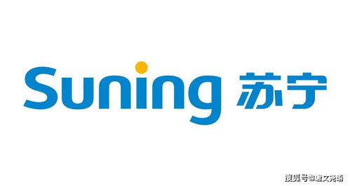 蘇寧電器營銷策劃方案