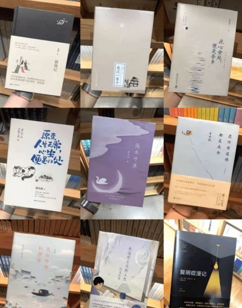 以書為媒活動策劃方案