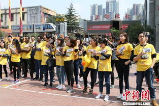 大型戶外真人秀節(jié)目策劃方案