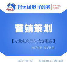 syb網(wǎng)店網(wǎng)絡(luò)營(yíng)銷策劃方案