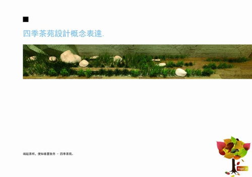 茶園經(jīng)營(yíng)策劃方案