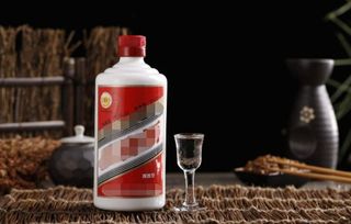 國(guó)酒茅臺(tái)品鑒會(huì)活動(dòng)策劃方案ppt