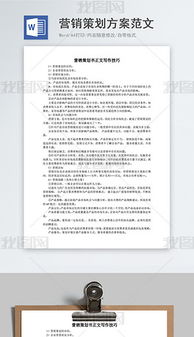 嬌子營銷策劃方案范文