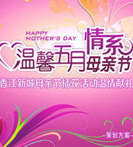 感動母親節(jié)策劃方案