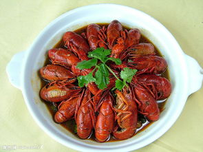 美食分享活動(dòng)策劃方案