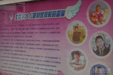 圓夢計劃策劃方案