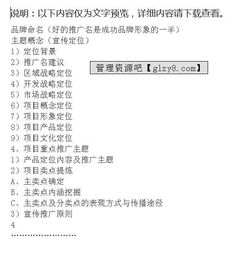 房地產(chǎn)前期策劃方案模板