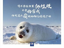 國際海豹日策劃方案