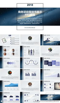 菊花展策劃方案ppt