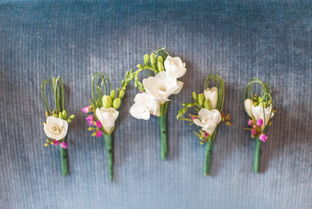 花藝比賽策劃方案