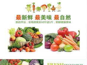 蔬菜店營銷策劃方案