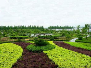 休閑農(nóng)莊項目策劃方案