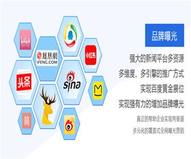 軟文營銷策劃方案