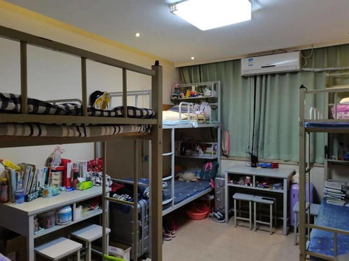 最美寢室策劃方案