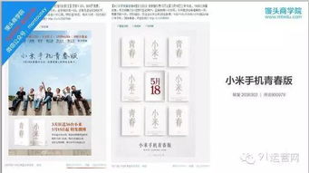 小米網(wǎng)絡(luò)營銷策劃方案