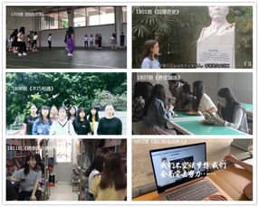 寢室微策劃方案