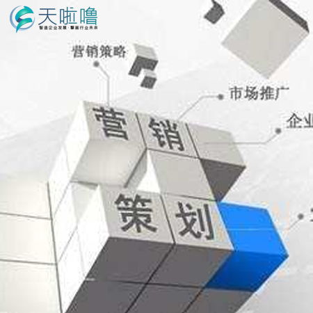 石家莊方案策劃