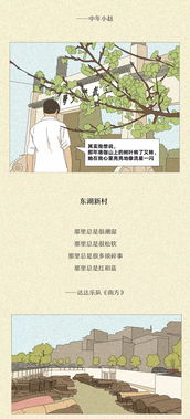 預售羊策劃方案