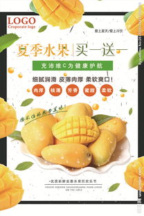 芒果銷售策劃方案