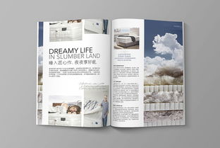 雜志廣告策劃方案