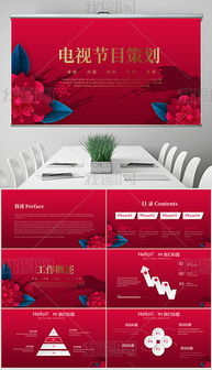 節(jié)目營(yíng)銷策劃方案