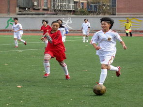 會(huì)所足球主題活動(dòng)策劃方案