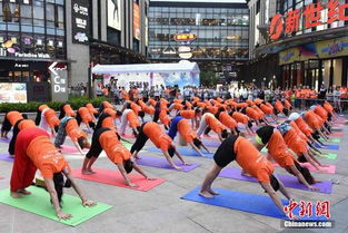 百人戶外瑜伽策劃方案