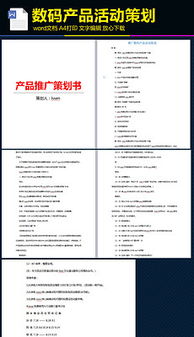 產(chǎn)品營銷策劃方案格式