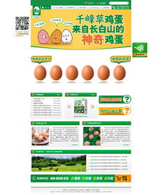 雞蛋市場(chǎng)活動(dòng)方案策劃