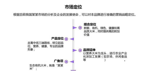 成都天樂(lè)城北項(xiàng)目營(yíng)銷(xiāo)策劃方案