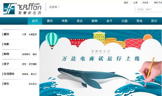 萬(wàn)達(dá)電商策劃方案