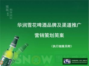 雪花啤酒營銷策劃方案