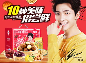 百草味營銷策劃方案