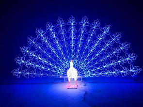 燈光節(jié)活動策劃方案