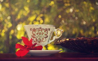 有骨氣的正能量句子