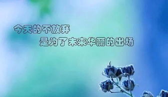 早上有干勁正能量句子