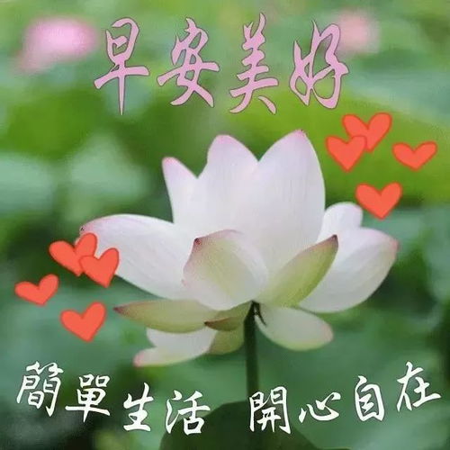 問(wèn)好,句子,能量,早上